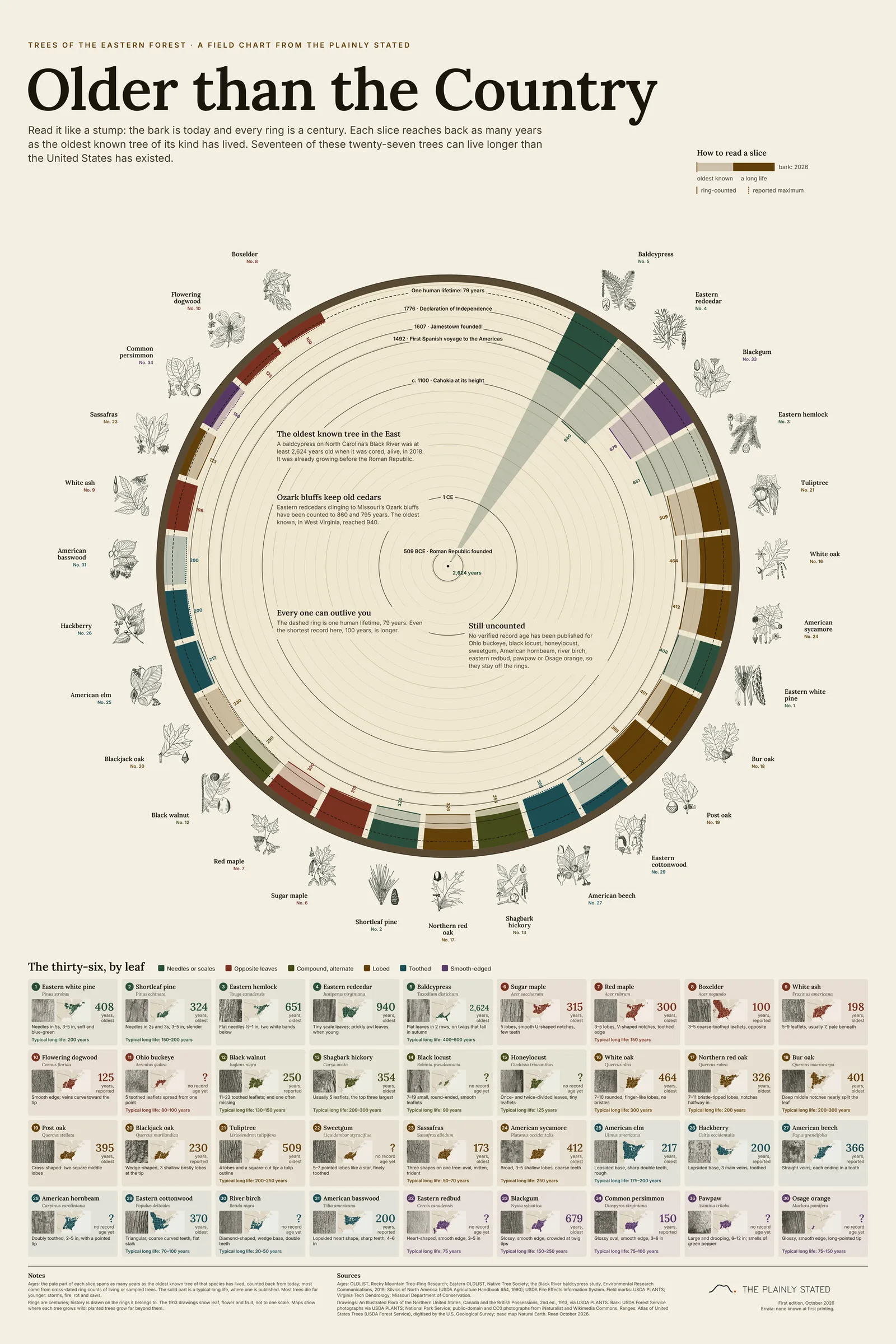 Older than the Country: Trees of the Eastern Forest, the whole poster