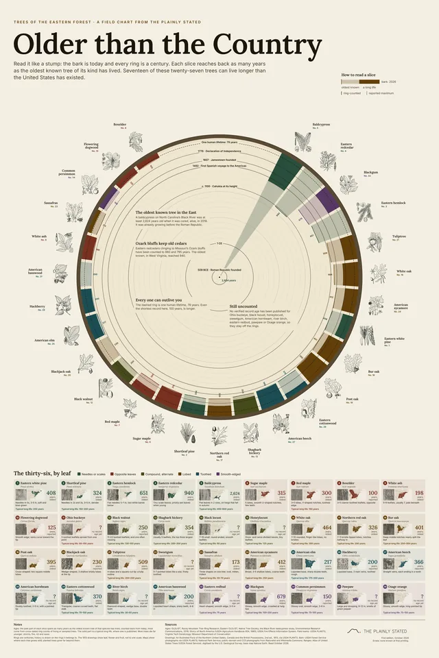 Older than the Country: Trees of the Eastern Forest