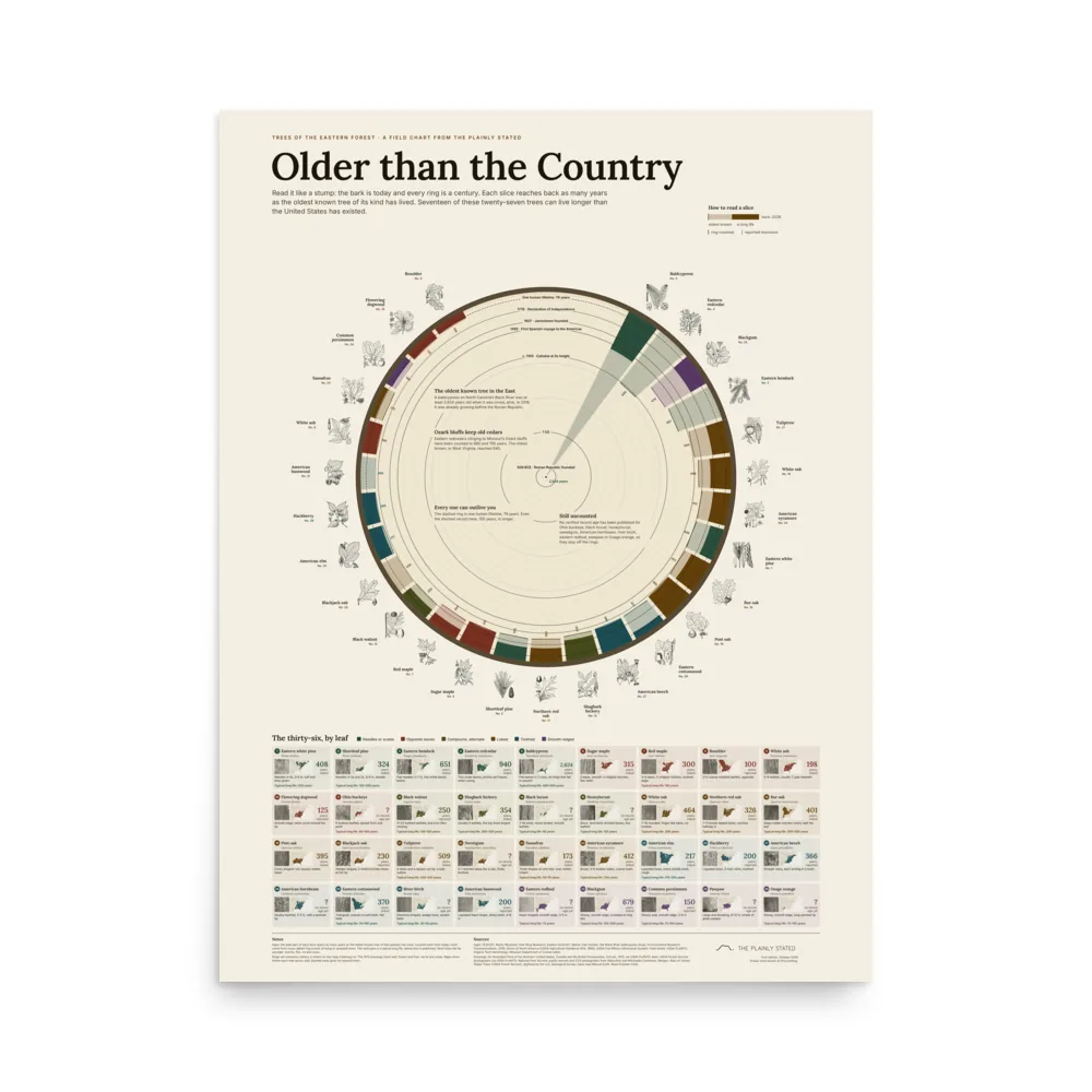 Older than the Country: Trees of the Eastern Forest